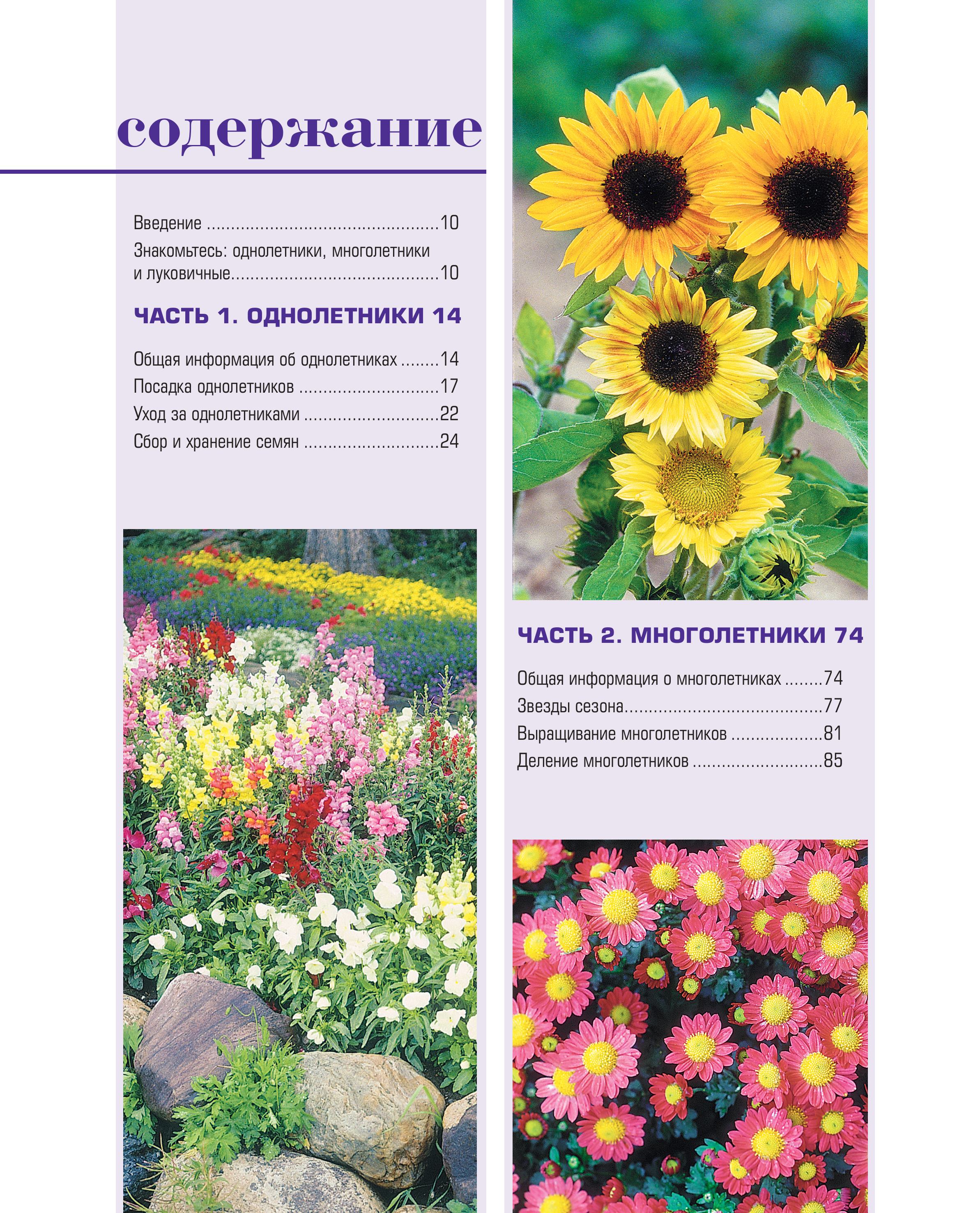 Книга БОМБОРА Библия садовых цветов. Однолетники, многолетники и луковичные - фото 4