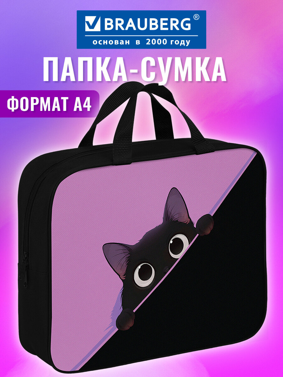 Папка для тетрадей Brauberg Прячущийся кот А4 - фото 1