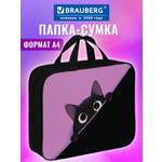 Папка для тетрадей Brauberg Прячущийся кот А4