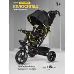 Трехколесный велосипед Velobibi 10 дюймов