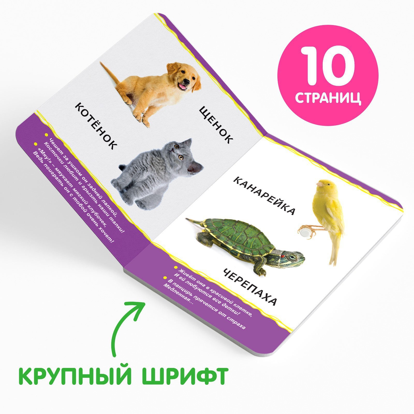 Набор Буква-ленд картонных книг Для малышей №1 4 шт 10 стр - фото 4