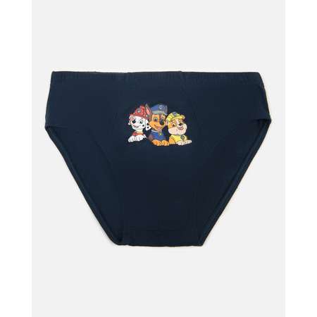 Трусы Paw Patrol