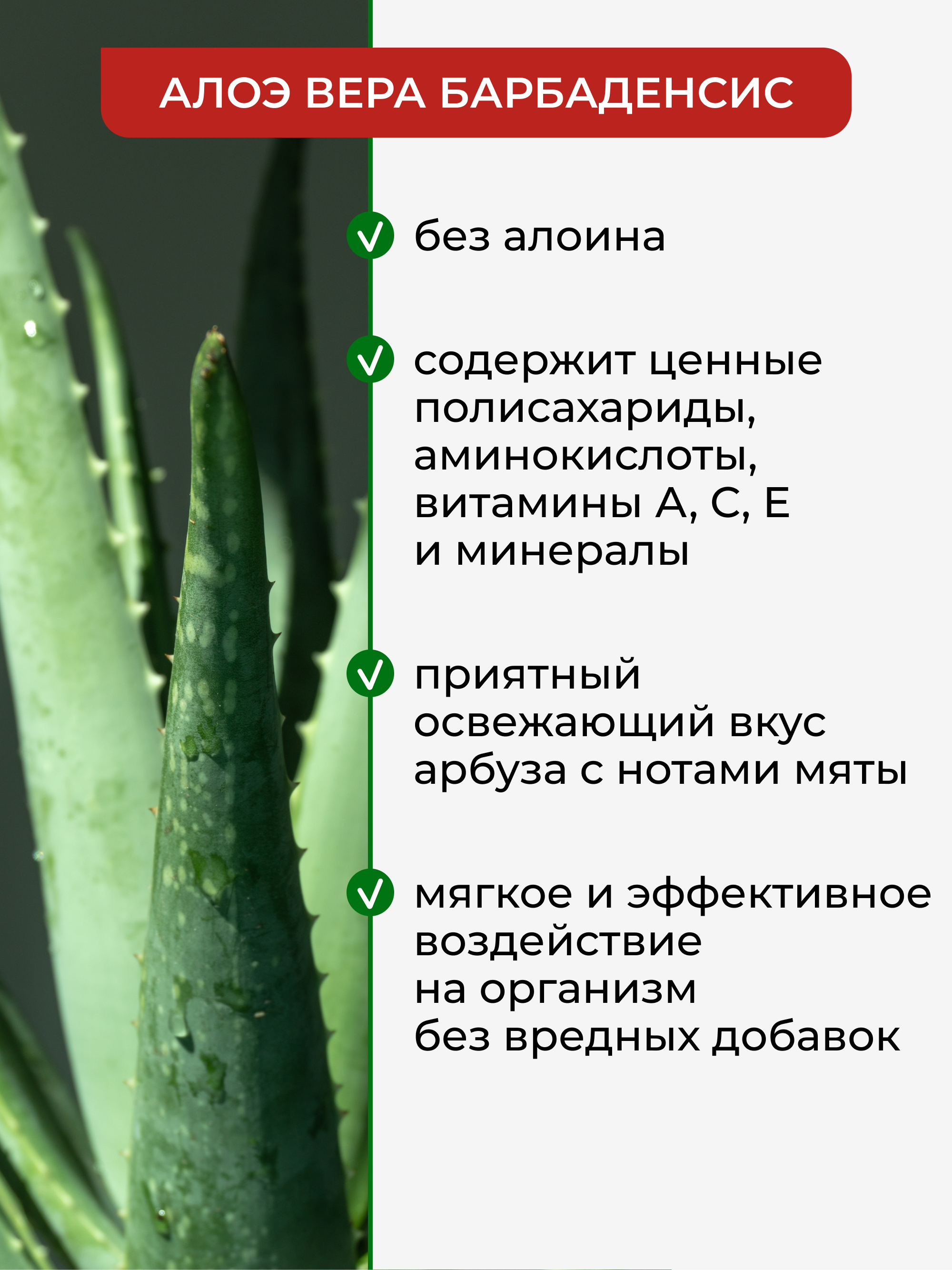 Сок Yappi 0.5 л 1 шт. - фото 5