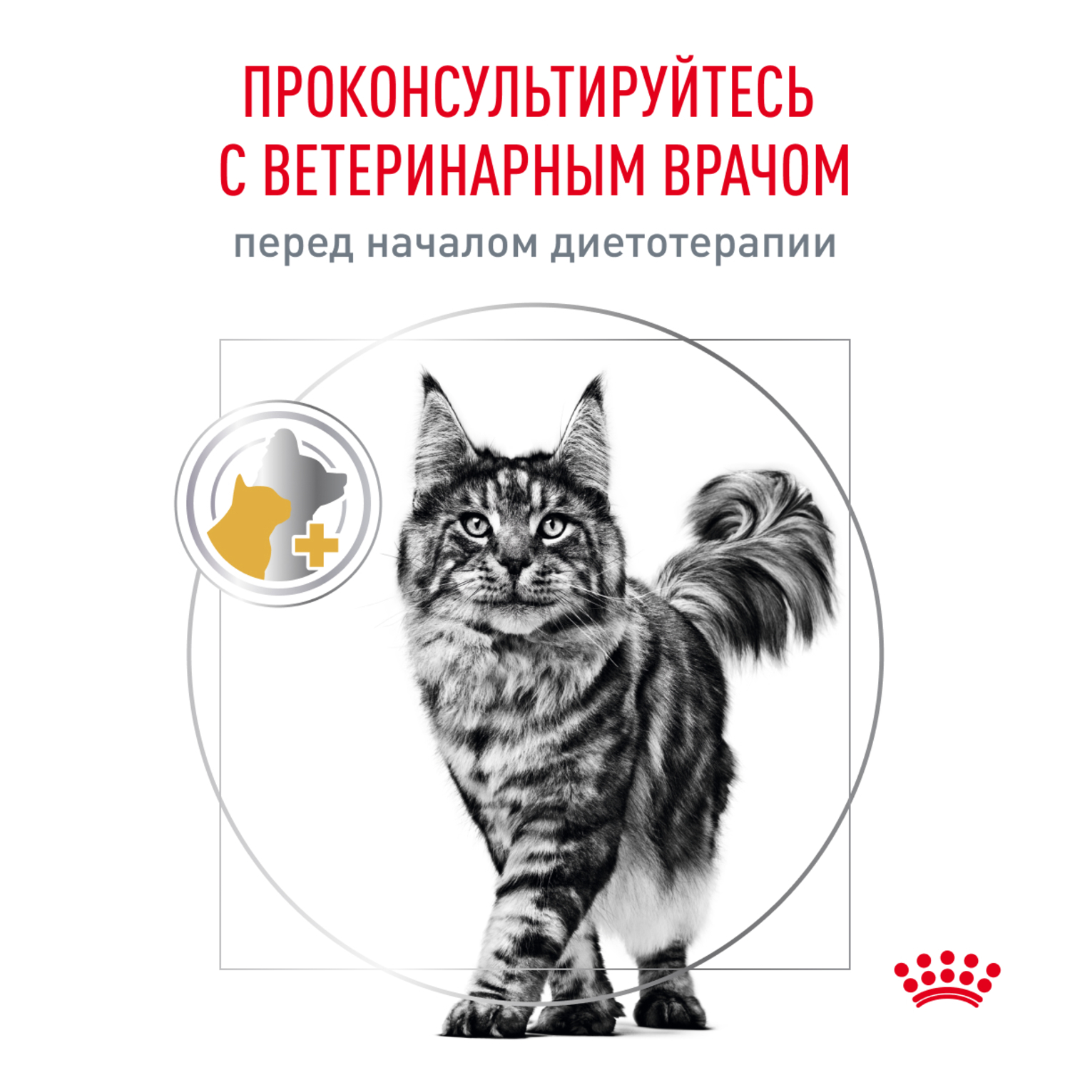 Корм для кошек ROYAL CANIN Urinary Moderate Calorie склонных к набору веса при мочекаменной болезни 350г - фото 9