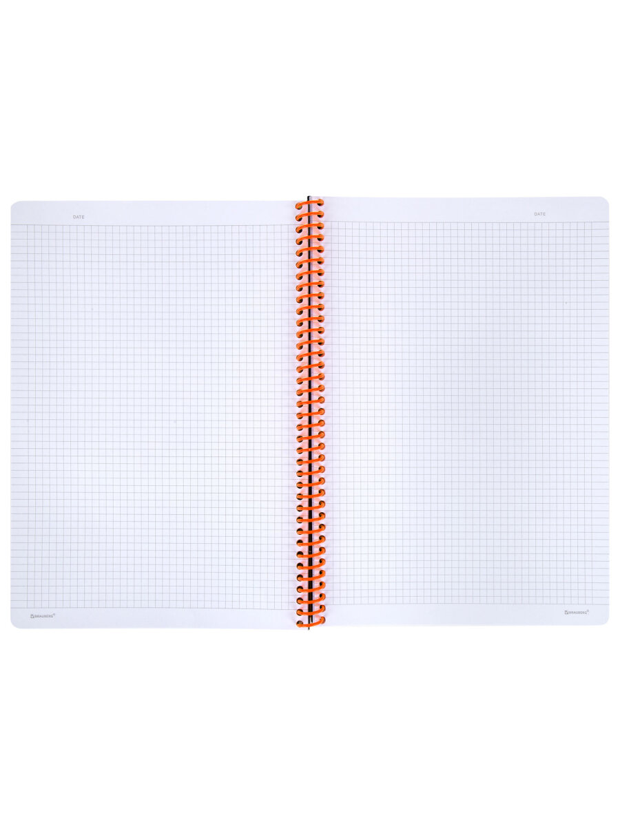 Общая тетрадь Brauberg клетка 80 лист. - фото 5