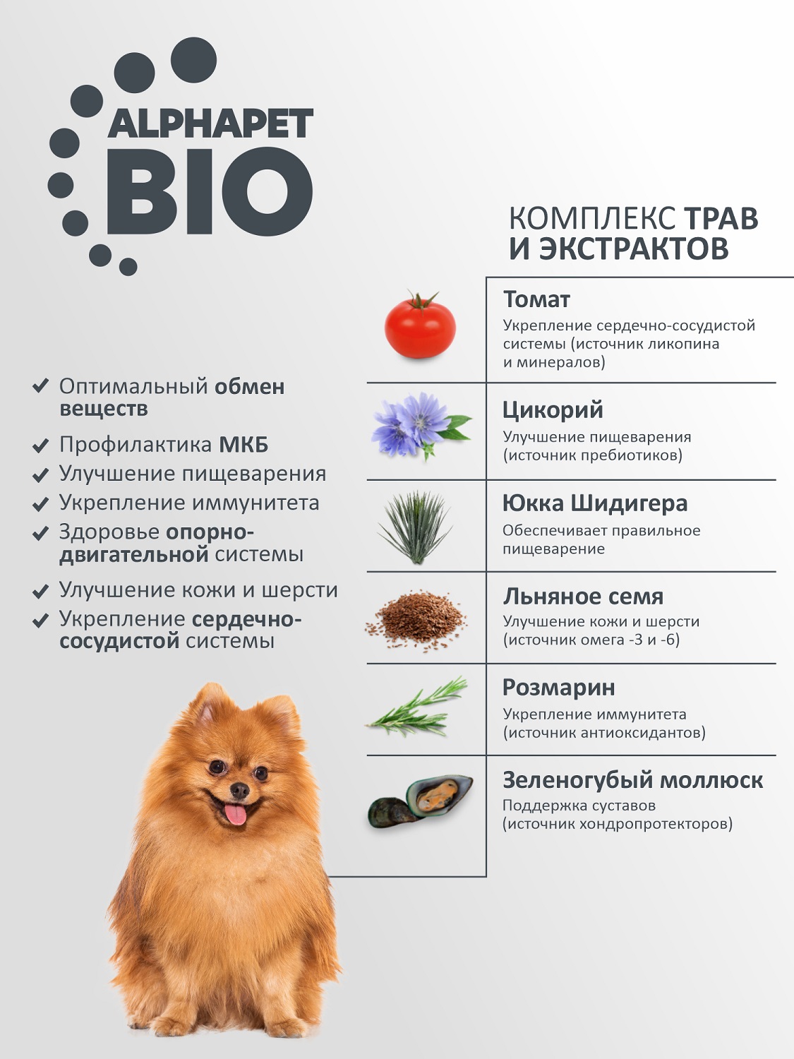 Корм для взрослых собак мелких пород AlphaPet с чувствительным пищеварением Superpremium сухой с ягненком и рисом 7кг - фото 2