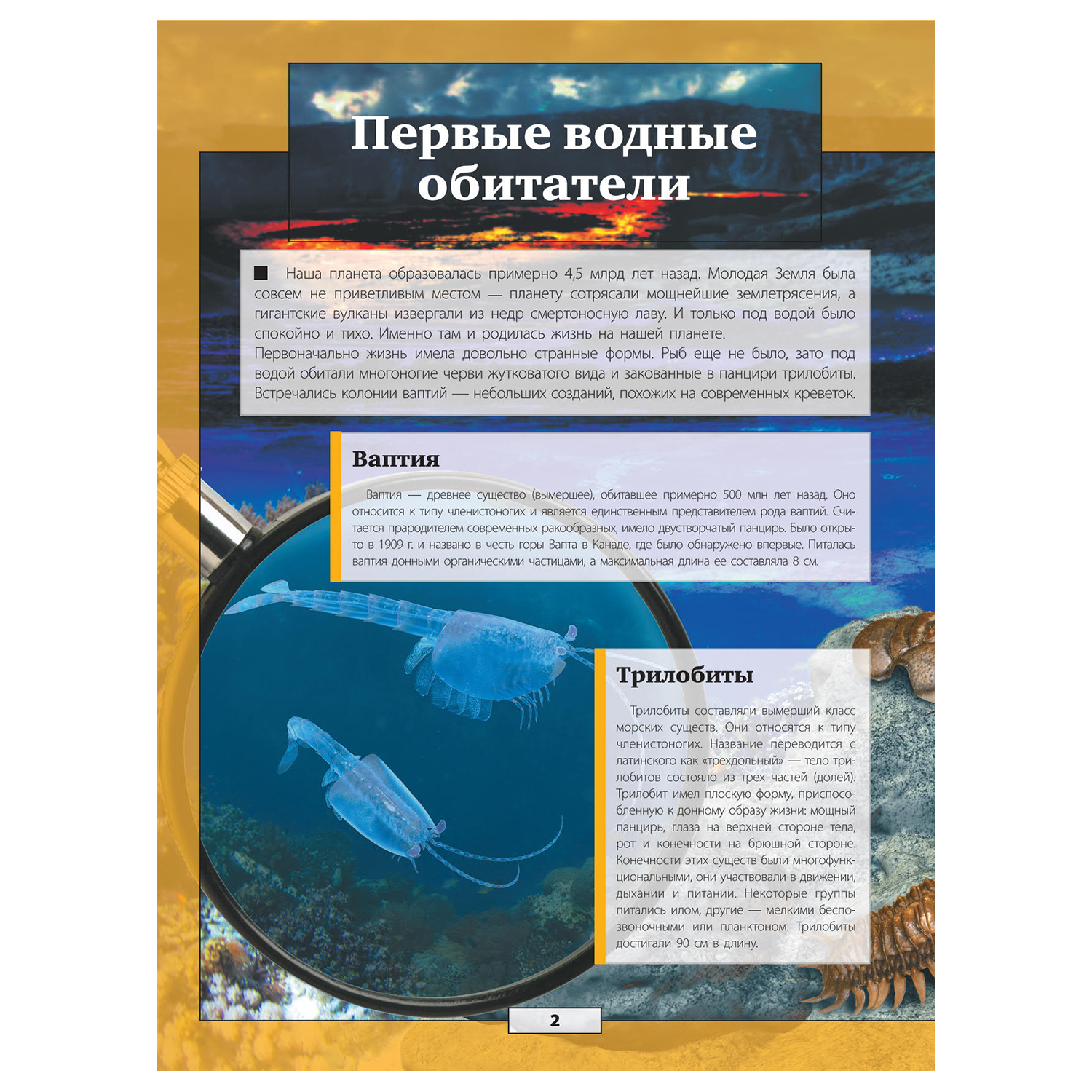 Энциклопедия АСТ Подводный мир - фото 2