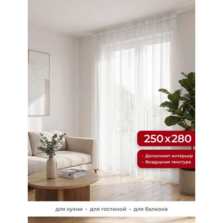 Штора тюлевая GARDEN Сетка 250x280 см цвет молочный