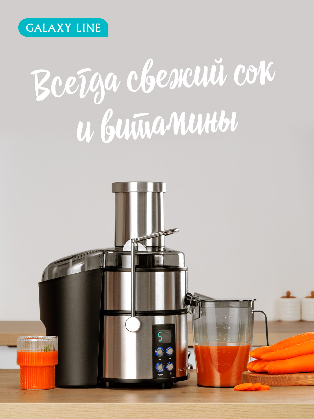 Соковыжималка Galaxy LINE GL0808 - фото 6