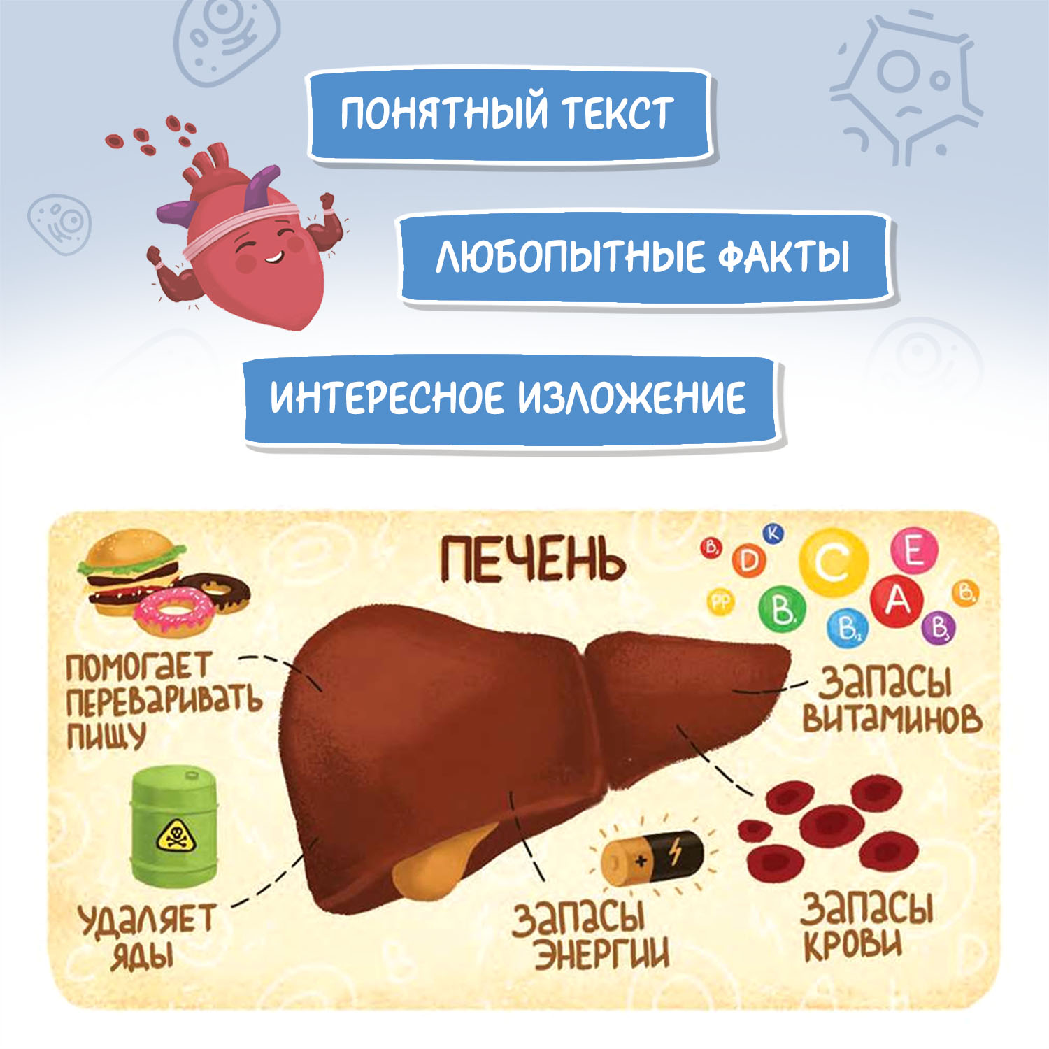 Книга Феникс Премьер Как устроен человек. Энциклопедия для малышей в сказках - фото 4