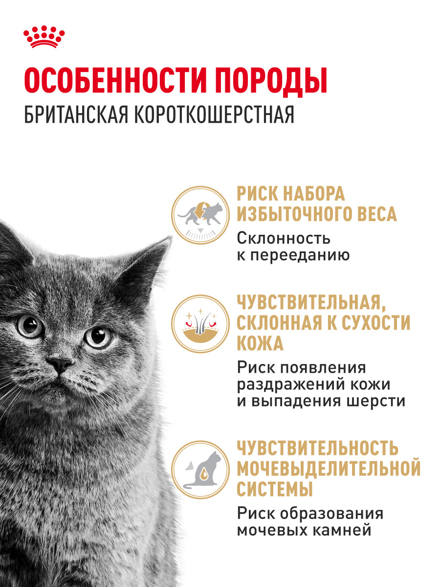 Корм для кошек ROYAL CANIN Брит соус 85г - фото 2