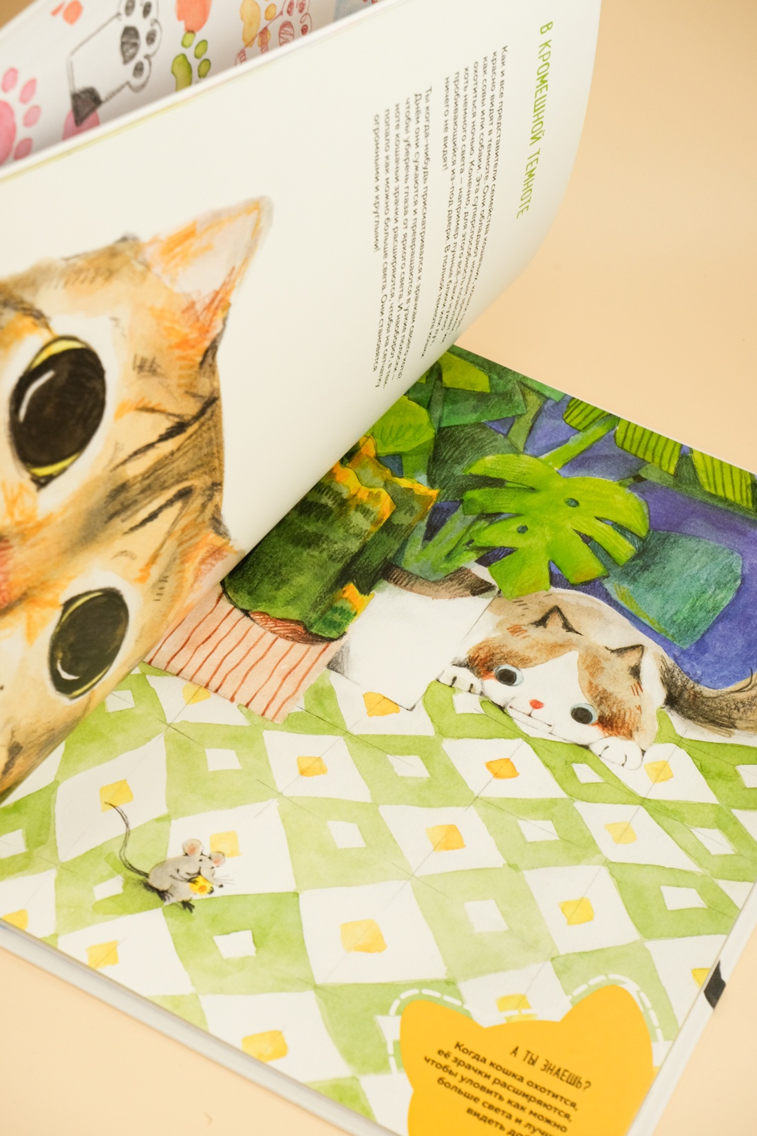 Книга Махаон Энц. Бурсе К. Невероятные коты. Всё, что нужно знать о любимых питомцах - фото 10