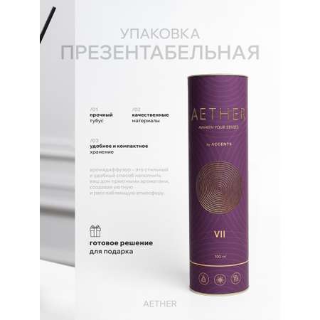 Диффузор с сухоцветами в Премиум тубусе Accents Mousse d’Ambre