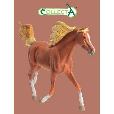 Фигурка Collecta Жеребец Арабский