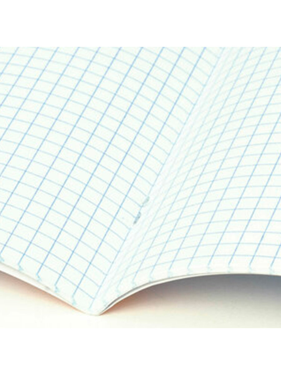 Общая тетрадь Brauberg клетка 24 лист. 10 шт. - фото 5