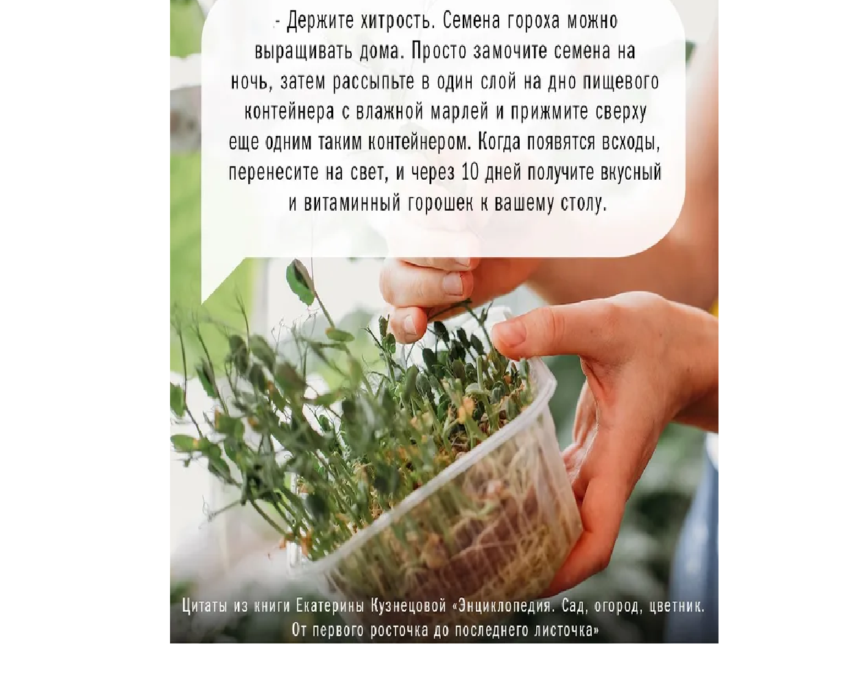 Книга АСТ Сад огород цветник. От первого росточка до последнего листочка - фото 3