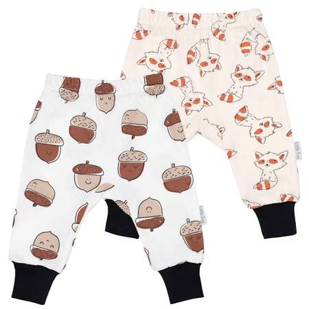Штанишки 2 шт Little Fox
