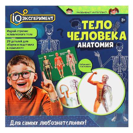 Набор для опытов Играем вместе Тело человека