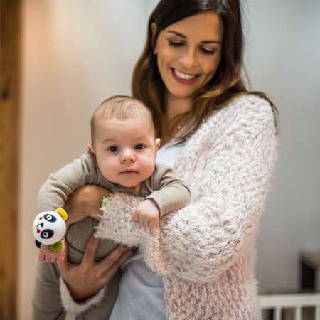 Игрушка Babyono погремушка Panda Archie в ассортименте