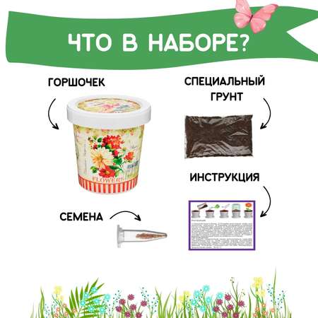 Набор для выращивания Rostok Visa