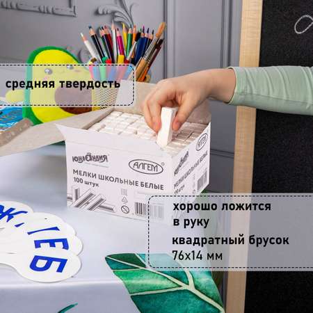 Мел сухой Юнландия 100 шт.