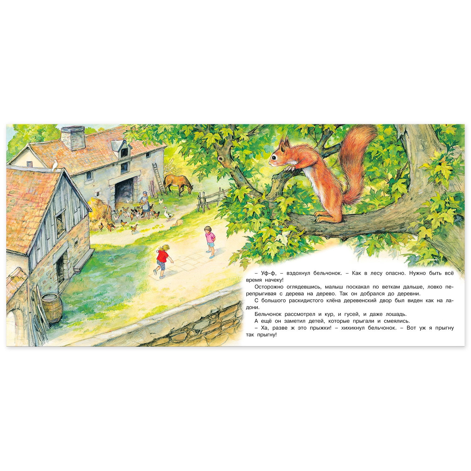 Книга Фламинго Познаем мир вокруг нас. Приключения бельчонка - фото 3