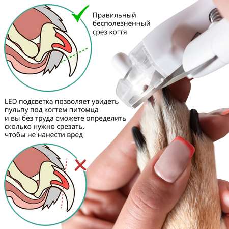 Когтерез-секатор LolUno home Pets для кошек и собак