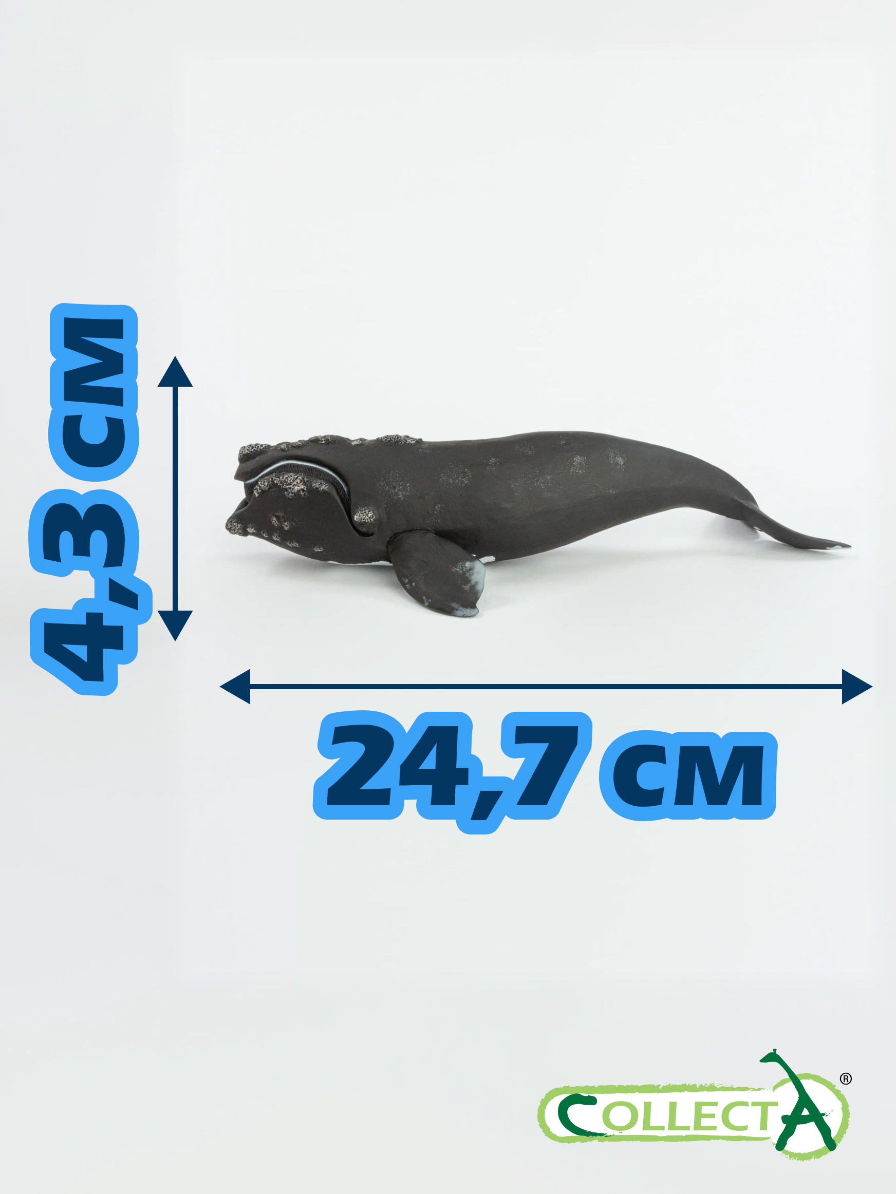 Фигурка Collecta Южный кит - фото 2