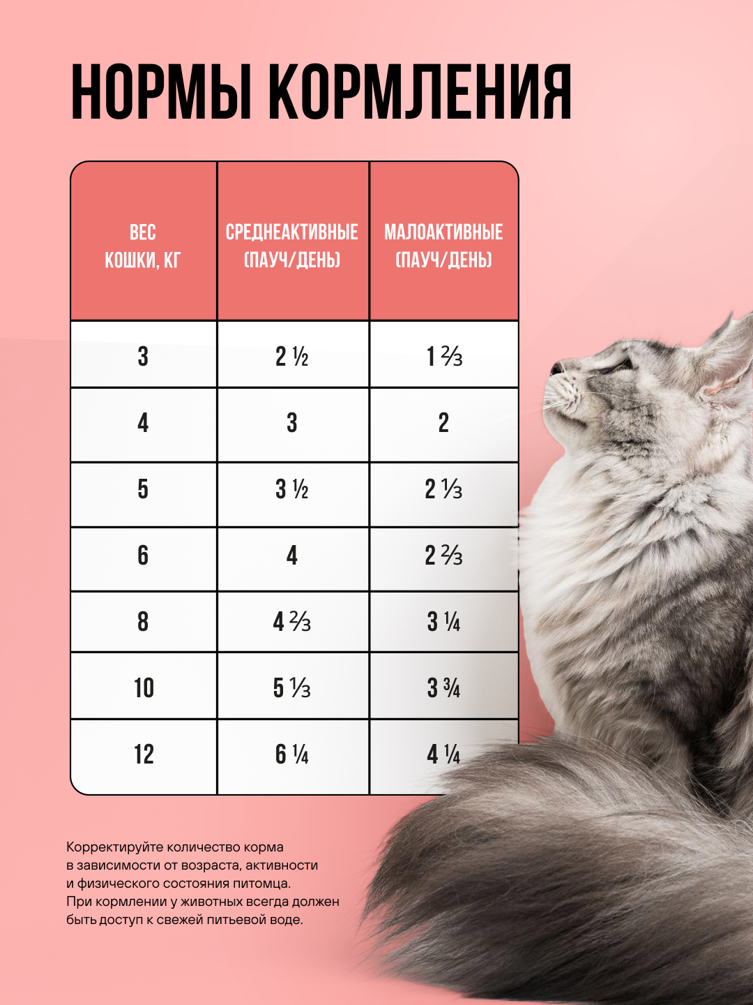 Полнорационный влажный корм BOWL WOW в соусе для стерилизованных кошек с лососем с овощами 85г - фото 5