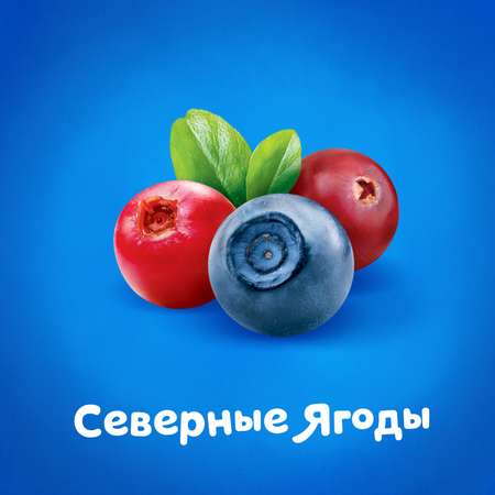 Йогурт питьевой Агуша 2.7% северные ягоды 180г с 8месяцев
