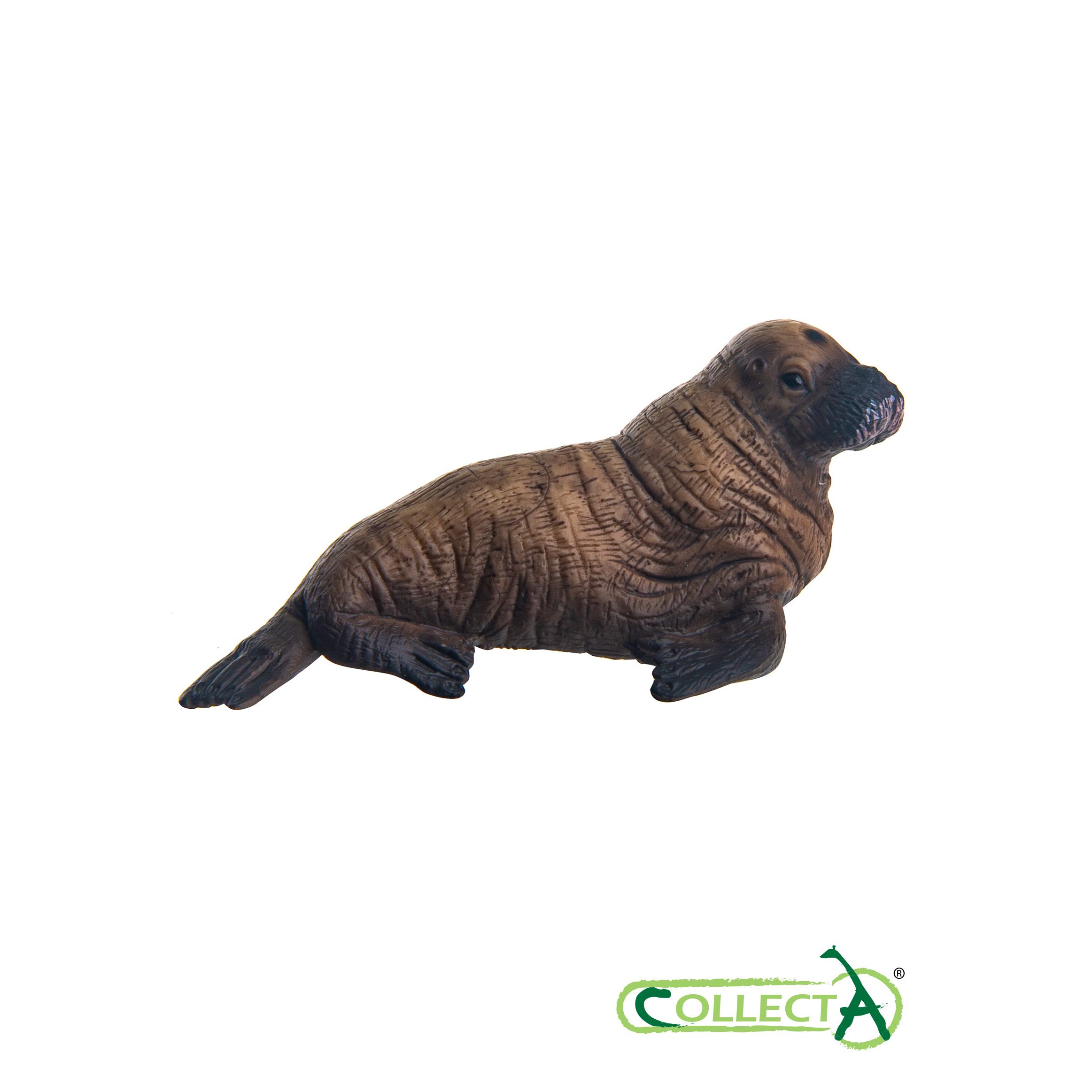 Фигурка Collecta Детёныш моржа - фото 4
