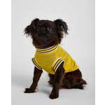 Футболка для собак и кошек Зоозавр