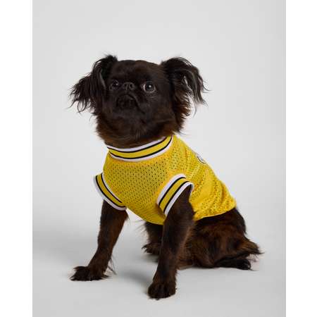 Футболка для собак и кошек Зоозавр