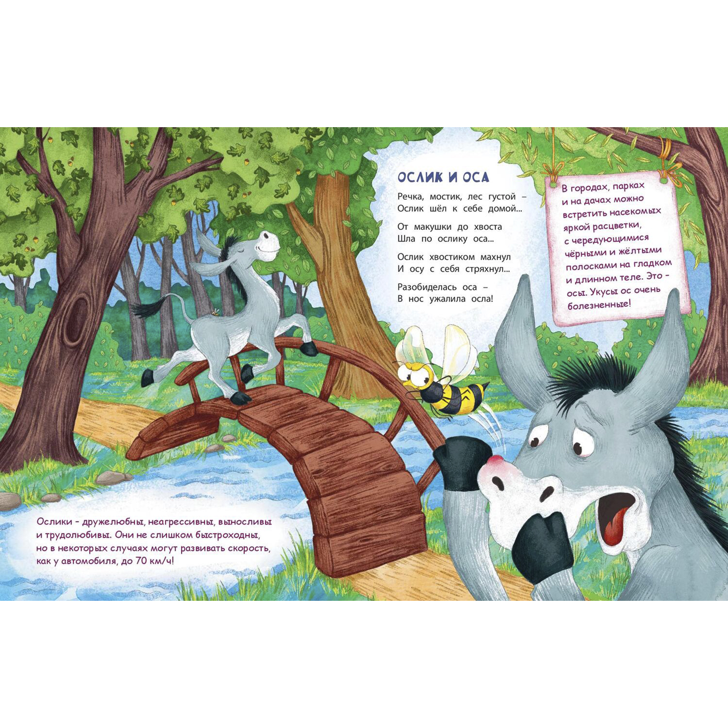 Книга ЭНАС-книга В небе и на земле - фото 4