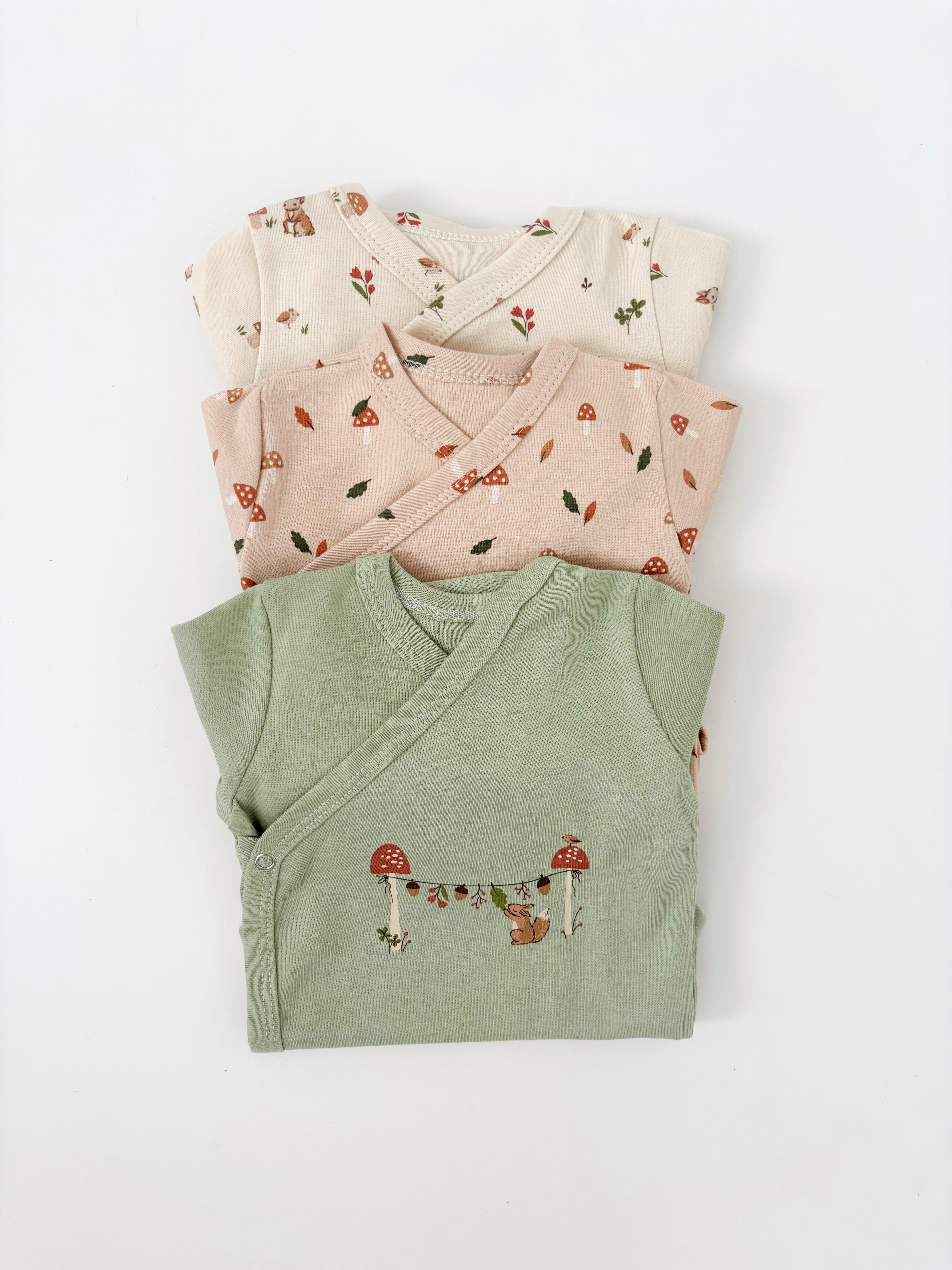 Боди 3 шт Carrot 10002272бельчонок - фото 4