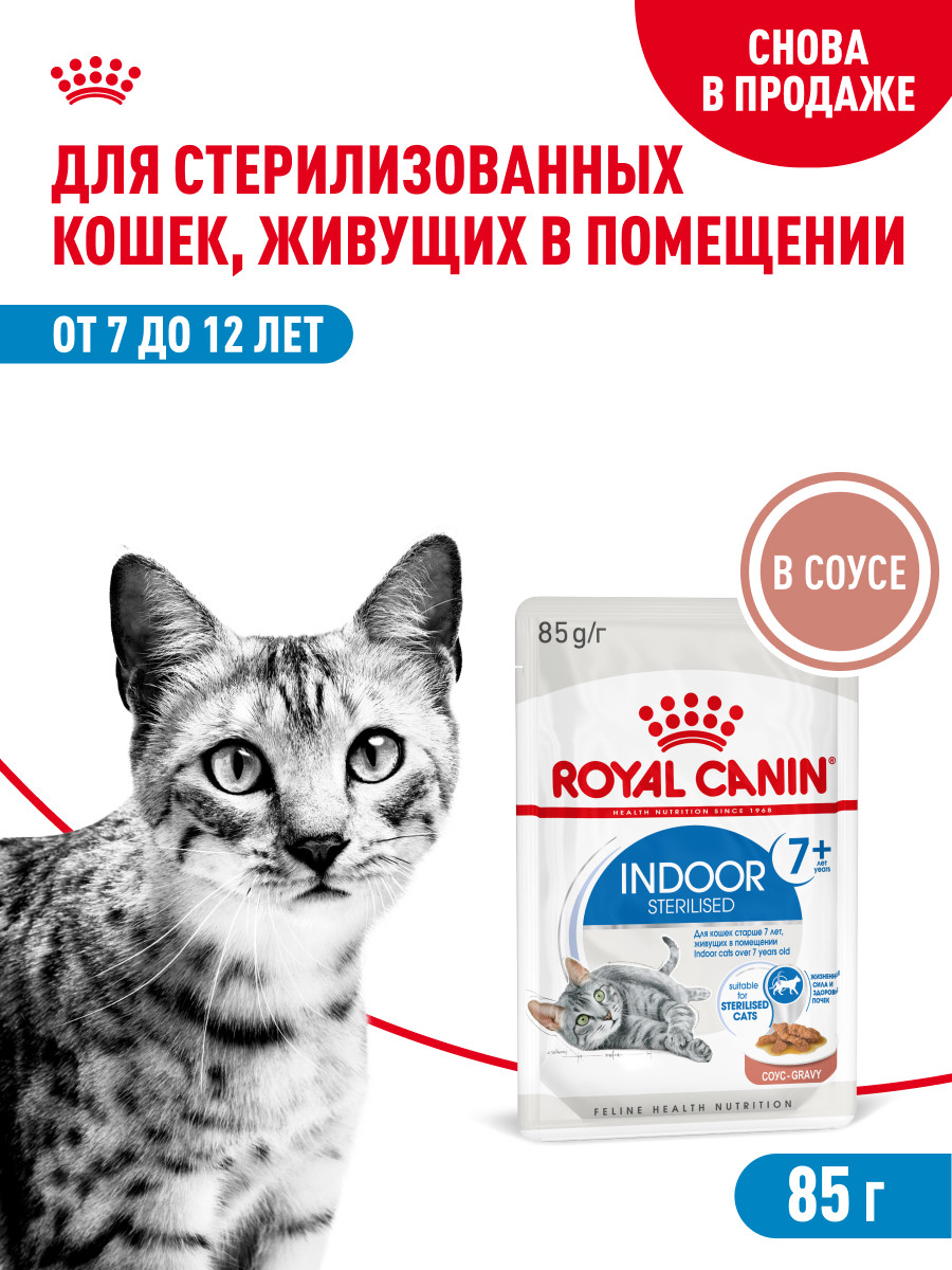 Корм для кошек ROYAL CANIN Indoor 85г для пожилых стерилизованных кошек 7+ соус пауч - фото 1