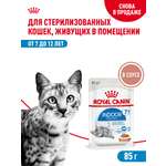 Корм для кошек ROYAL CANIN Indoor 85г для пожилых стерилизованных кошек 7+ соус пауч