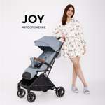 Коляска прогулочная Rant Basic Joy серый