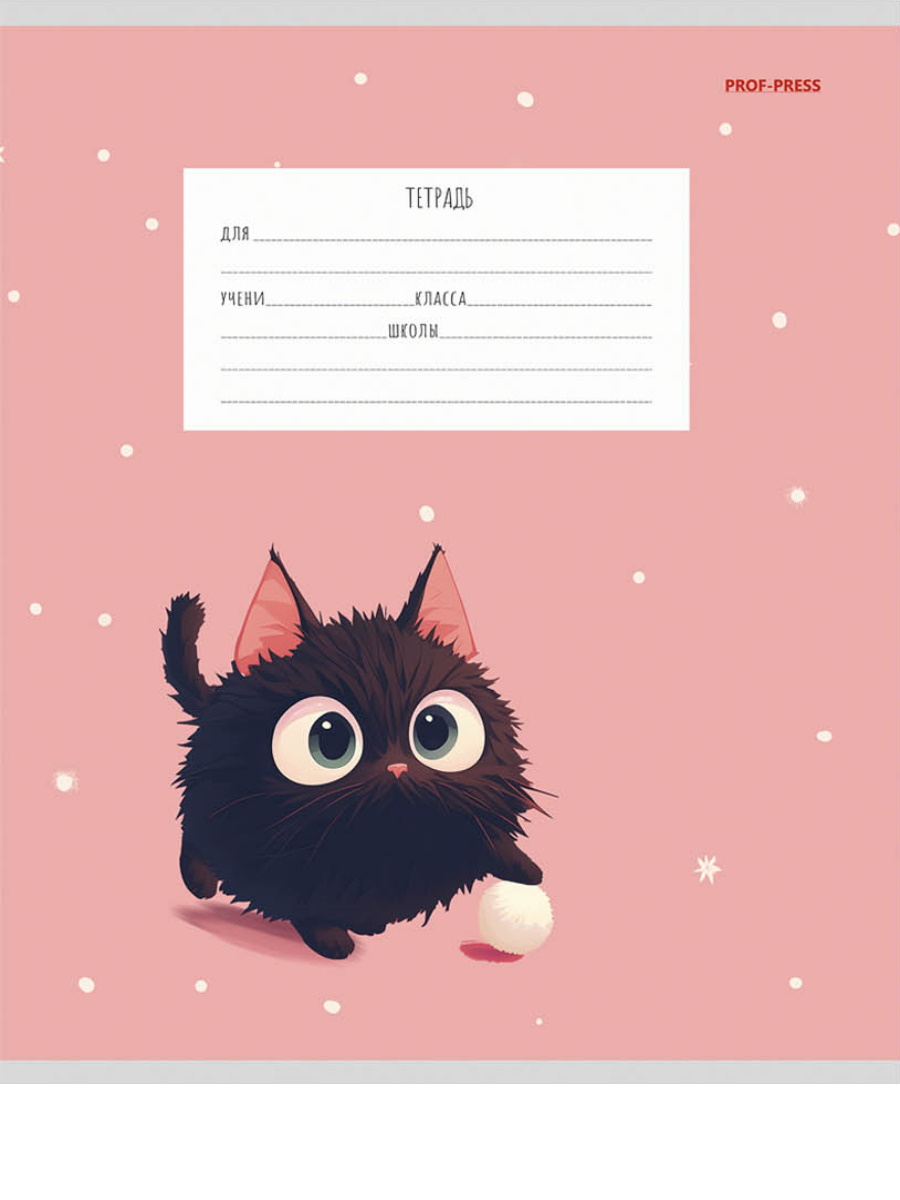 Тетрадь Prof-Press клетка 12 лист. 20 шт. - фото 10