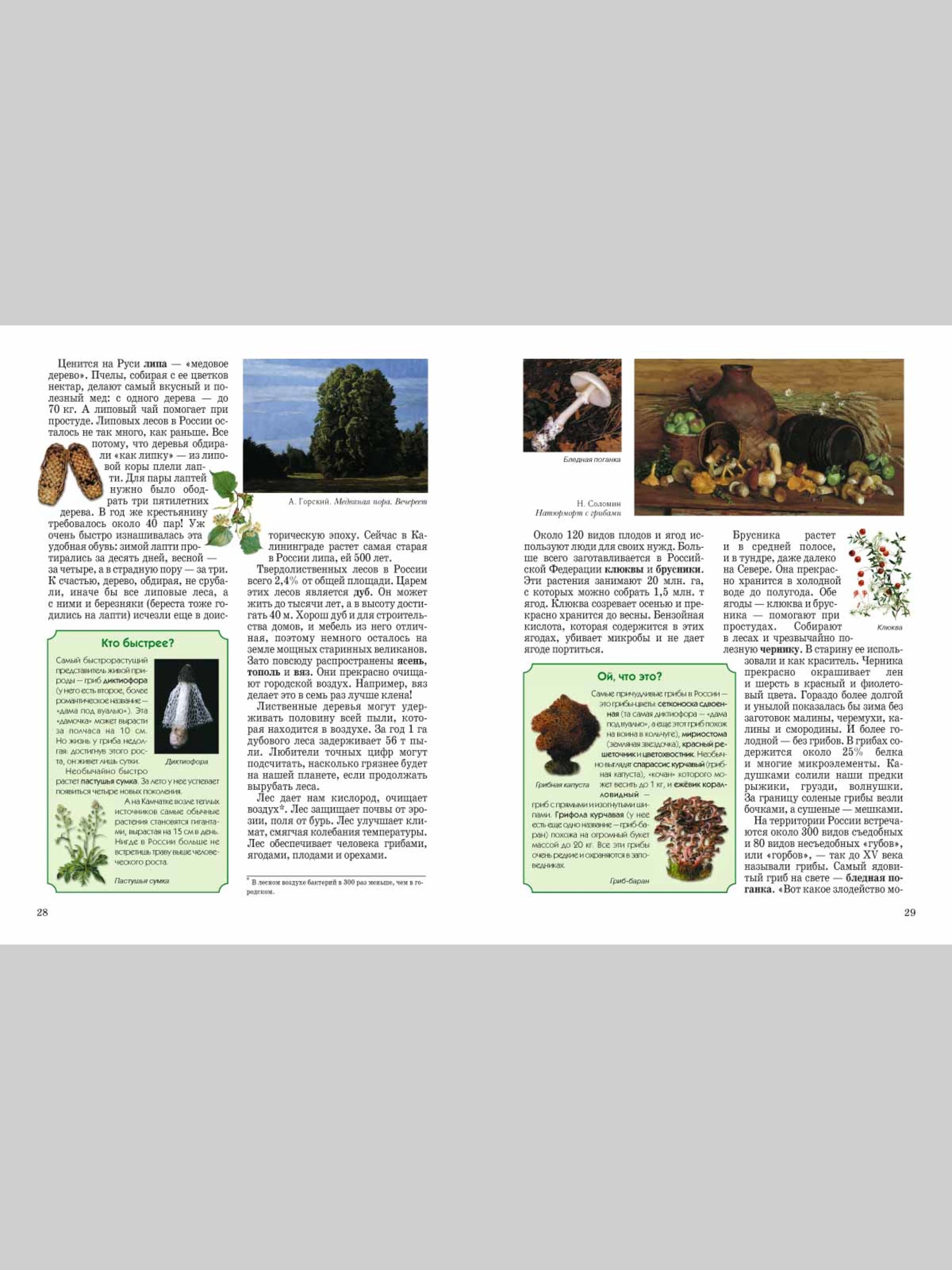 Книга Белый город Природа России - фото 6