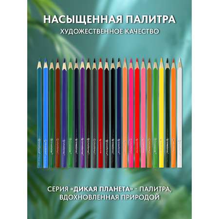 Карандаши цветные SCHOOLFORMAT 24 шт.