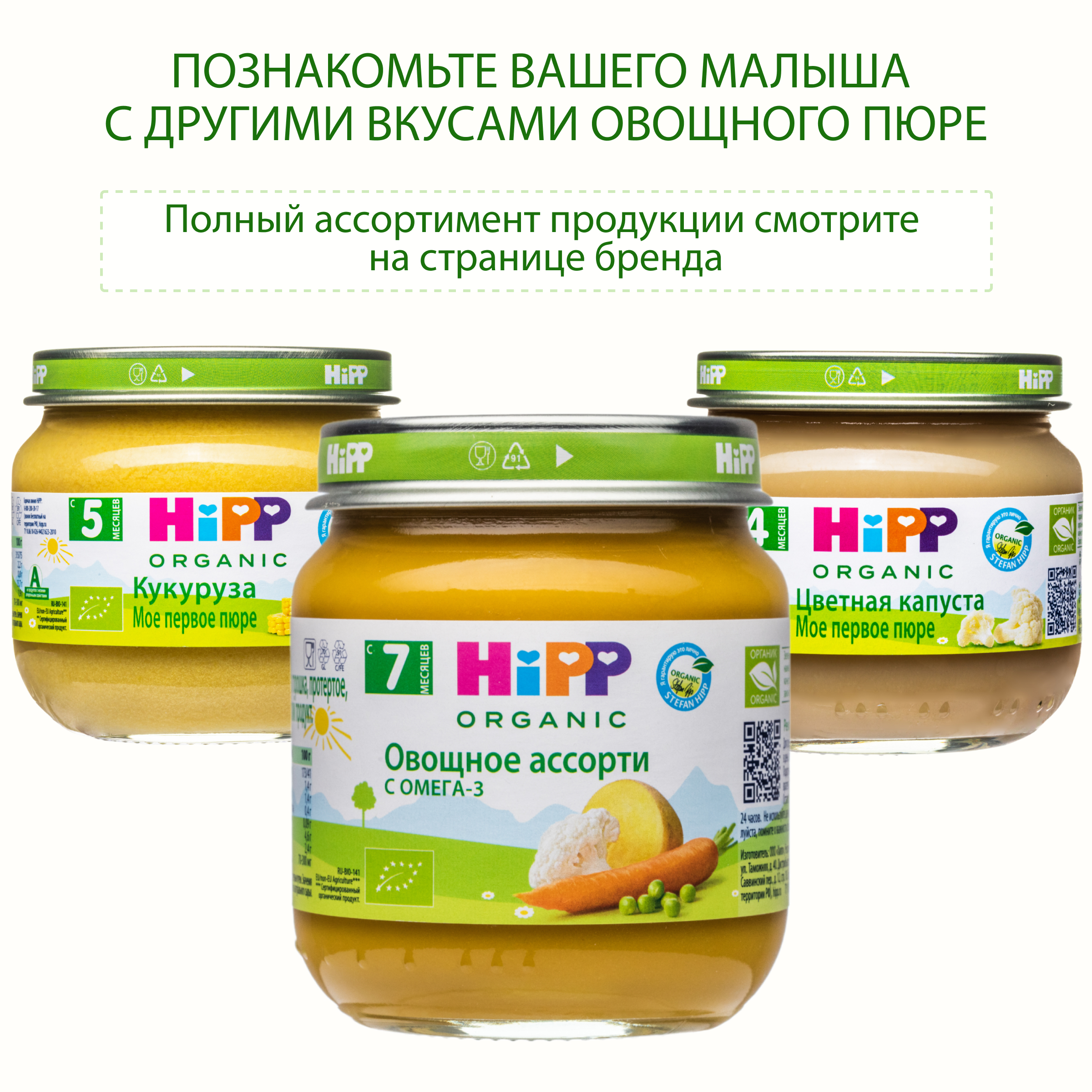 Пюре Hipp Брокколи с рисом с 6 мес 100 г - фото 6