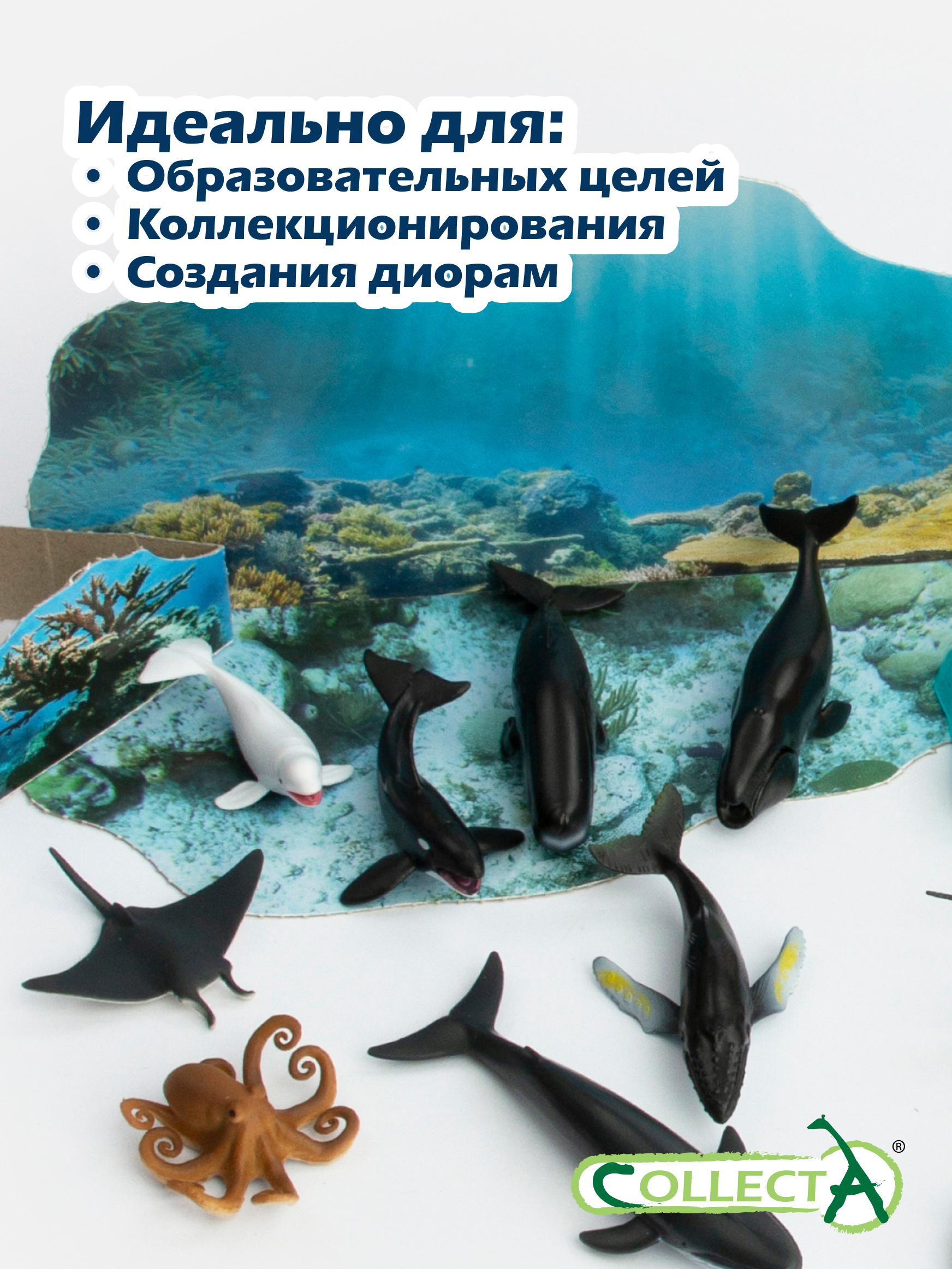 Игровой набор Collecta Подводные жители 24 шт. 30 см - фото 7