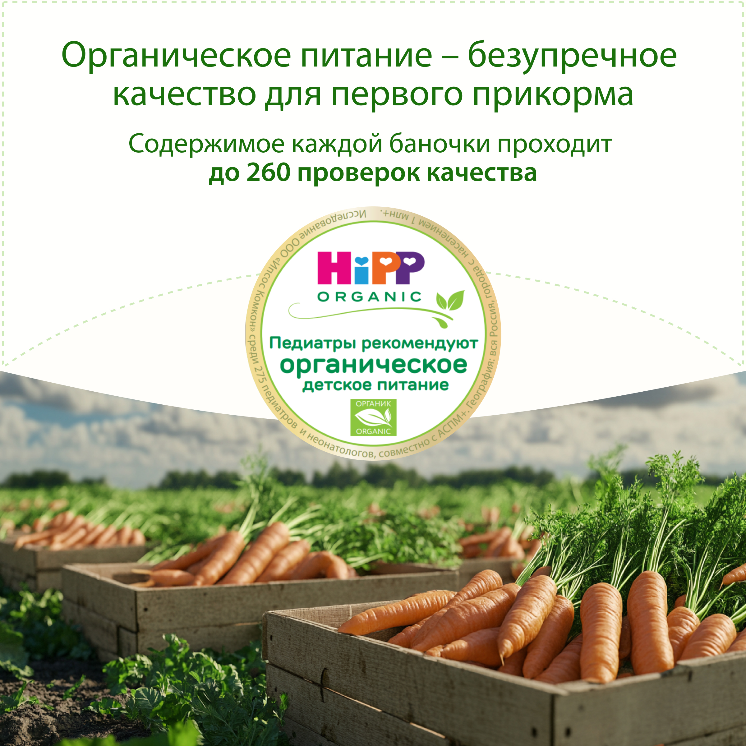 Пюре Hipp Морковь с 5 мес 80 г - фото 10