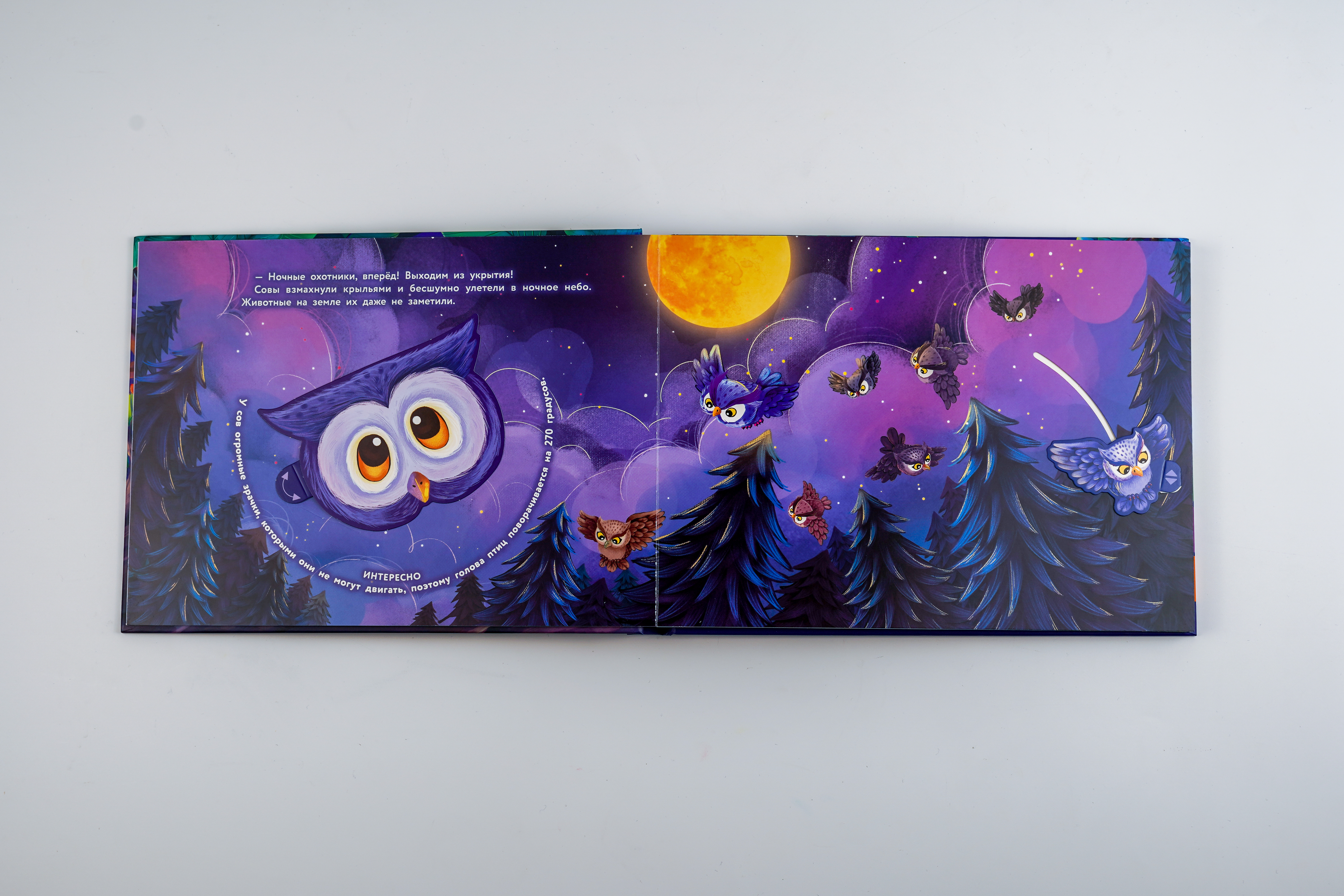 Книга АСТ Совёнок больше не боится темноты - фото 7