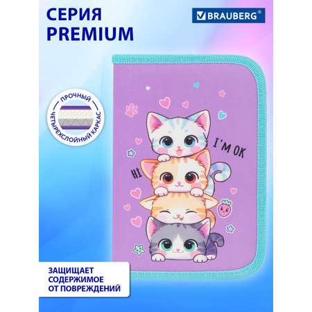 Пенал Brauberg