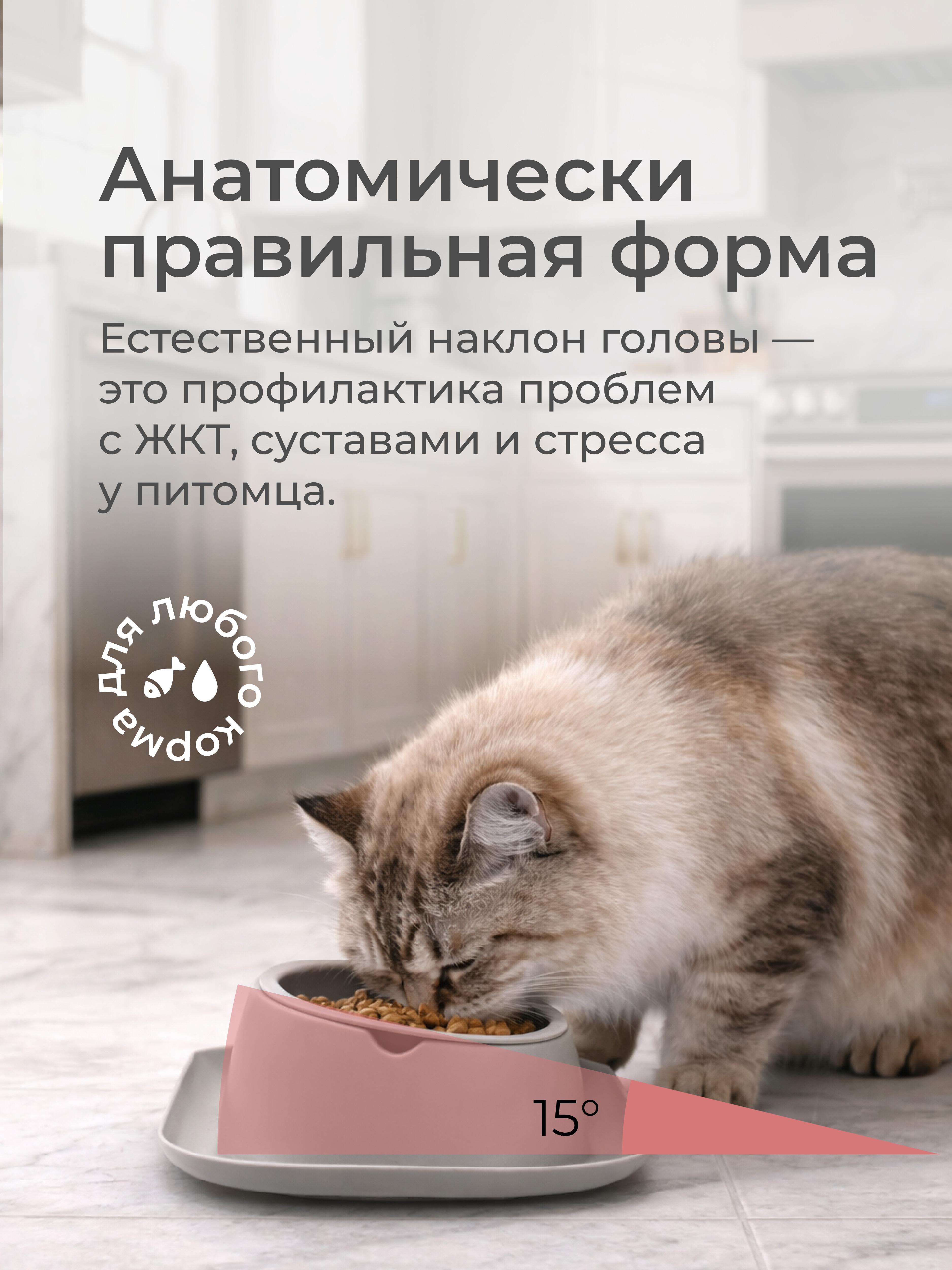 Двойная миска для животных ROXY PETS миска для медленного поедания - фото 4