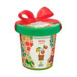 Набор для выращивания Happy Plant