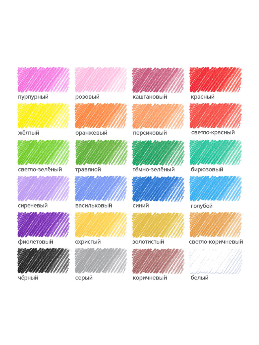 Карандаши цветные Brauberg 24 шт. - фото 15