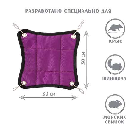 Гамак для грызунов МОНМОРАНСИ фиолетовый